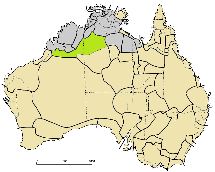 Карта распространения австралийских языков нгумпин